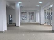 Сдаётся  объект 240 м², м. Элмляр Академиясы, photo 2 from 8