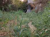 Объявление №5985456 - Кюрдамир, Кюрдамир, 8 сот