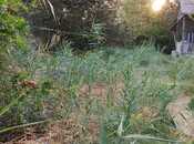 Satılır  torpaq 8 sot, photo 6 from 6