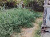 Satılır  torpaq 8 sot, photo 4 from 6