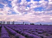 Продаётся  участок 320 сот, photo 4 from 6