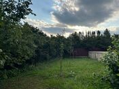 Elan №5985531 - İsmayıllı, İsmayıllı, 12 sot