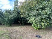 Satılır  torpaq 12 sot, photo 7 from 8