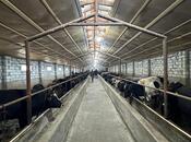 Satılır  obyekt 2 100 m², photo 2 from 8