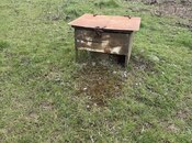 Продаётся 5-комн. дом/дача 120 м², photo 3 from 8