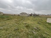 Продаётся  участок 46 сот, пос. Бина, photo 5 from 8