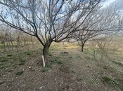 Elan №5985868 - Qazax, Qazax, 3 otaqlı, 60 m²