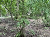 Satılır 5 otaqlı həyət evi/bağ evi 190 m², photo 2 from 8