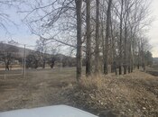 Satılır  torpaq 12 sot, Gədəbəy r., photo 4 from 8