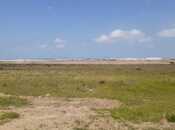 Продаётся  участок 109 сот, пос. Мамедли, photo 3 from 3