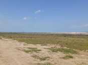 Продаётся  участок 109 сот, пос. Мамедли, photo 2 from 3