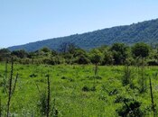 Продаётся  участок 200 сот, photo 7 from 8