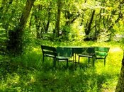 Продаётся  участок 200 сот, photo 5 from 8