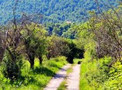 Продаётся  участок 200 сот, photo 8 from 8