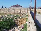 Satılır  torpaq 44.2 sot, Albalılıq q., photo 2 from 5