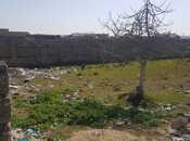 Satılır  torpaq 44.2 sot, Albalılıq q., photo 3 from 5