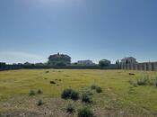 Elan №5986566 - Bakı, Albalılıq q., 44 sot