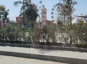 Elan №5986762 - Bakı, Bilgəh q., 1 otaqlı, 51.4 m², 1/7 mərtəbə