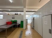 Сдаётся  объект 450 м², пос. Гюнешли, photo 8 from 8