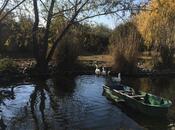 Объявление №5987053 - Худат, Худат, 240 сот