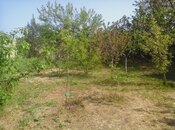3 otaqlı həyət evi/bağ evi - Novxanı q. - 80 m²