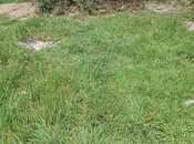 Satılır  torpaq 3 sot, İnşaatçılar m., photo 3 from 5