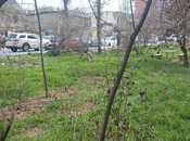 Объявление №5987560 - Баку, м. Иншаатчылар, 3 сот