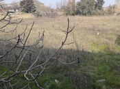 Продаётся  участок 41 сот, пос. Новханы, photo 6 from 8