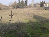 Продаётся  участок 41 сот, пос. Новханы, photo 5 from 8