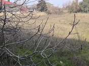 Участок - пос. Новханы - 41 сот