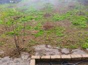 Satılır 4 otaqlı həyət evi/bağ evi 288 m², photo 4 from 8