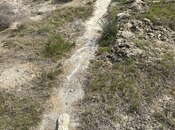 Продаётся  участок 15 сот, пос. Бина, photo 6 from 8