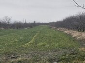 Elan №5988344 - Quba, Quba, 114 sot