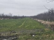 Продаётся  участок 114 сот, photo 2 from 2