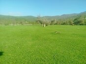 Elan №5988422 - Quba, Quba, 14 sot