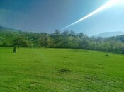 Satılır  torpaq 14 sot, photo 6 from 6