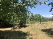 Продаётся 4-комн. дом/дача 100 м², photo 3 from 8