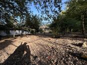 Elan №5988688 - Lerik, Lerik, 26 sot