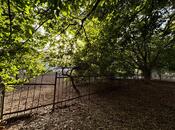 Satılır  torpaq 26 sot, photo 7 from 8