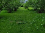 Продаётся  участок 450 сот, photo 3 from 8