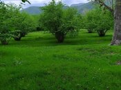 Продаётся  участок 450 сот, photo 2 from 8