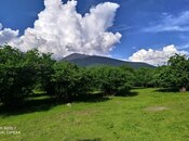 Объявление №5988777 - Гах, Гах, 450 сот