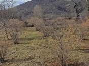 Satılır  torpaq 26 sot, photo 4 from 8