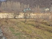 Elan №5988832 - Qəbələ, Qəbələ, 26 sot