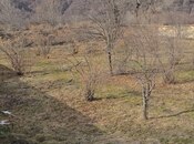 Satılır  torpaq 26 sot, photo 3 from 8