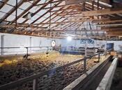 Продаётся  объект 8 500 м², Гарадагский р., photo 7 from 8