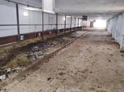 Продаётся  объект 8 500 м², Гарадагский р., photo 5 from 8