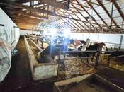 Продаётся  объект 8 500 м², Гарадагский р., photo 8 from 8