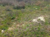 Продаётся  участок 10 сот, пос. Пиршаги, photo 2 from 5