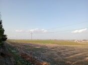 Объявление №5988982 - Гянджа, Гянджа, 90 сот